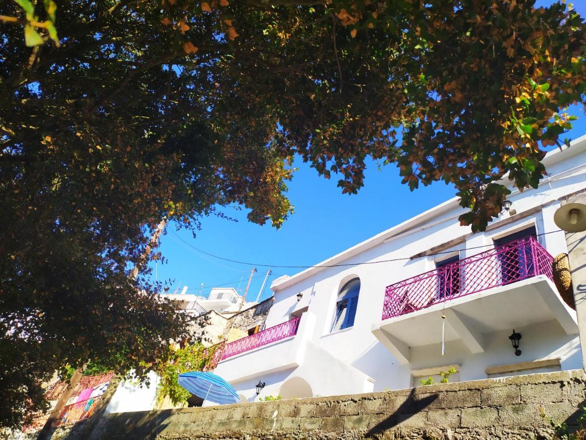 Traditional Family House, Ground Floor With Yard Koronos 외부 사진